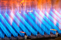 Lislap gas fired boilers